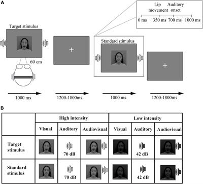 Effect of aging on audiovisual integration: Comparison of - Frontiers